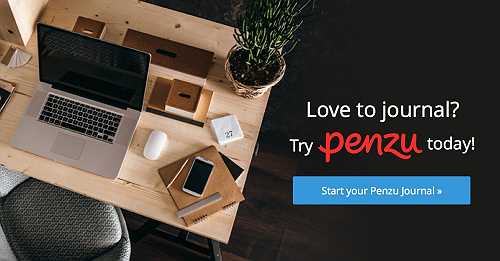 Penzu Penzu