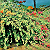Post: #wallpaper