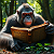 Poetry: Herein lies a jungle library,  a green cathedral of leaf and light,  where one wise ape, our...