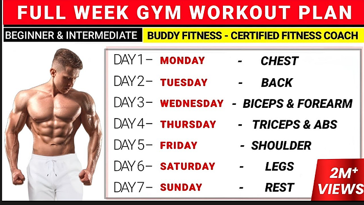 full week gym workout plan