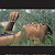 Book Suggestion: Such Color: New and Selected Poems