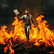 Poetry: These images depict a bearded man with short dark hair walking calmly through intensely fiery,...